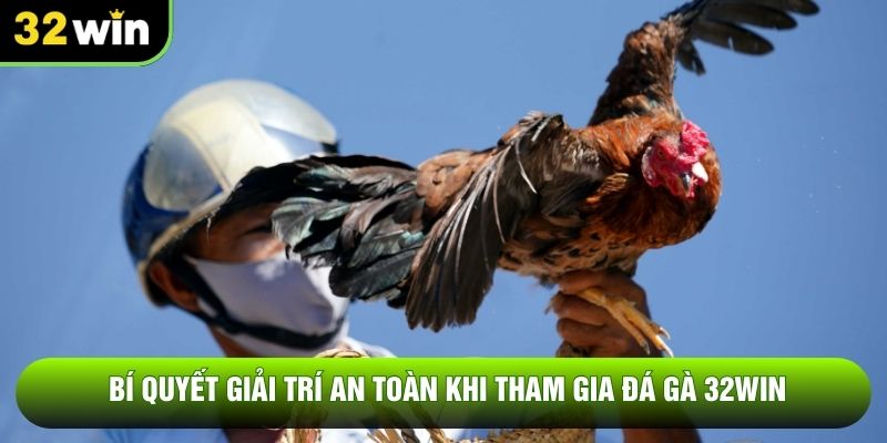 Bí quyết giải trí an toàn khi tham gia đá gà 32WIN