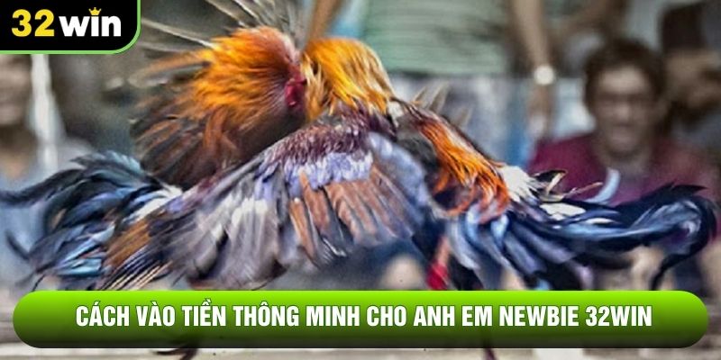 Cách vào tiền thông minh cho anh em newbie 32WIN