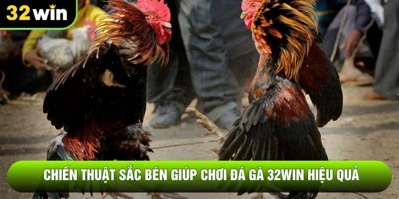 Chiến thuật sắc bén giúp chơi đá gà 32WIN hiệu quả