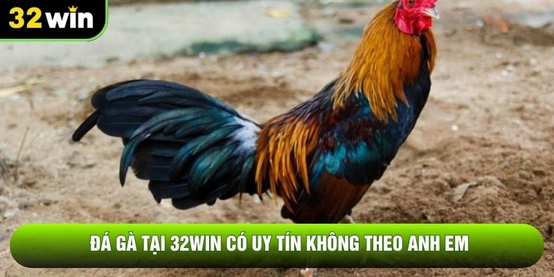 Đá gà tại 32WIN có uy tín không theo anh em
