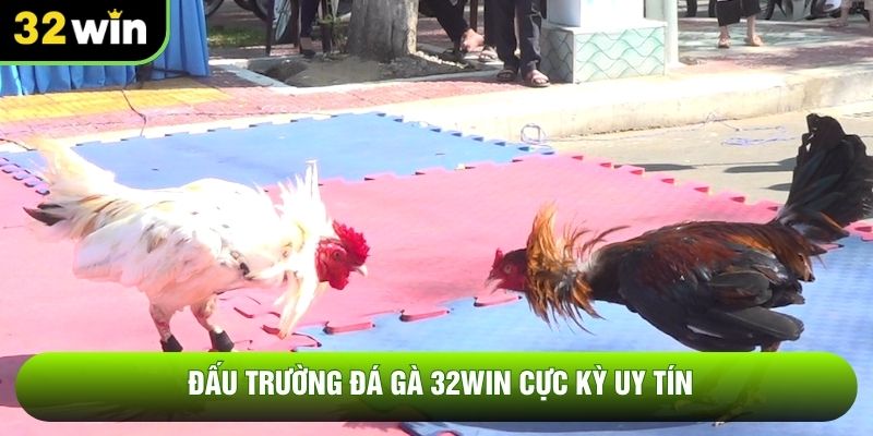 Đấu trường đá gà 32WIN cực kỳ uy tín