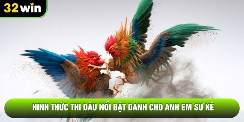 Hình thức thi đấu nổi bật dành cho anh em sư kê