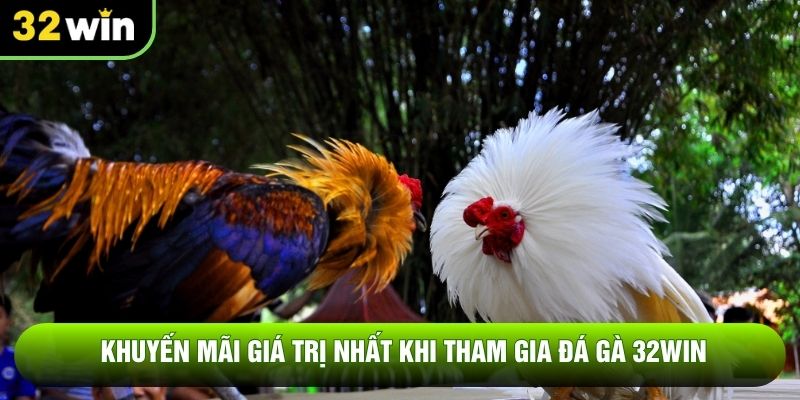 Khuyến mãi giá trị nhất khi tham gia đá gà 32WIN