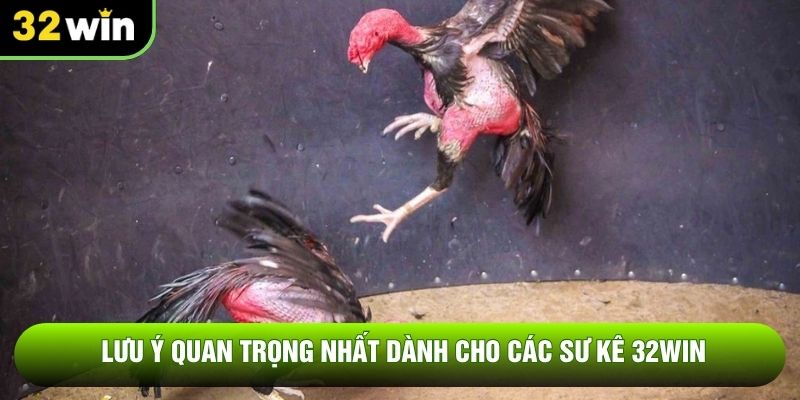 Lưu ý quan trọng nhất dành cho các sư kê 32WIN