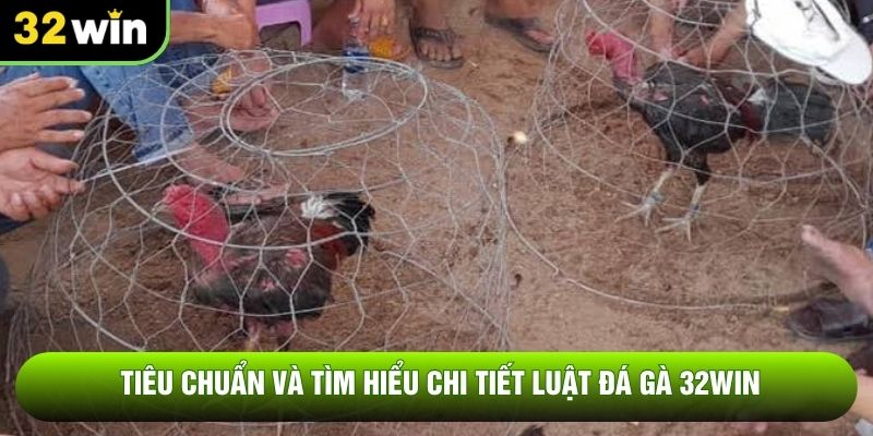 Tiêu chuẩn và tìm hiểu chi tiết luật đá gà 32WIN